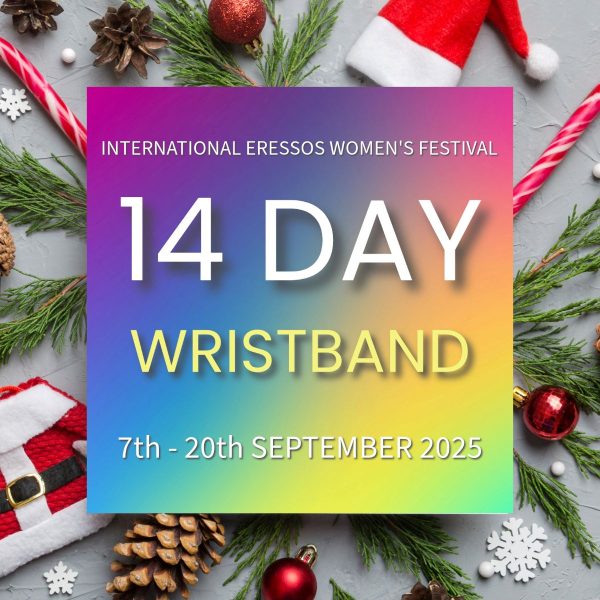 14-DAY Festival 2025 Wristband