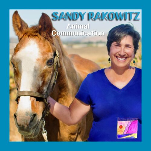 sandy_rakowitz-animalcommunication