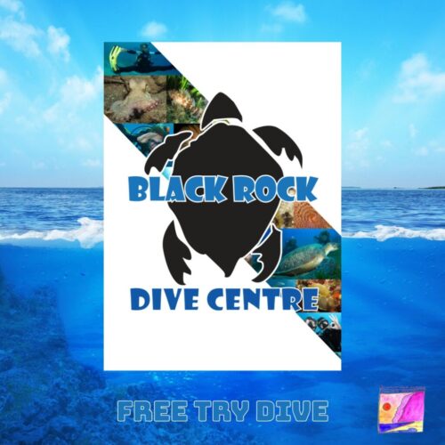 FREE-TRY-DIVE