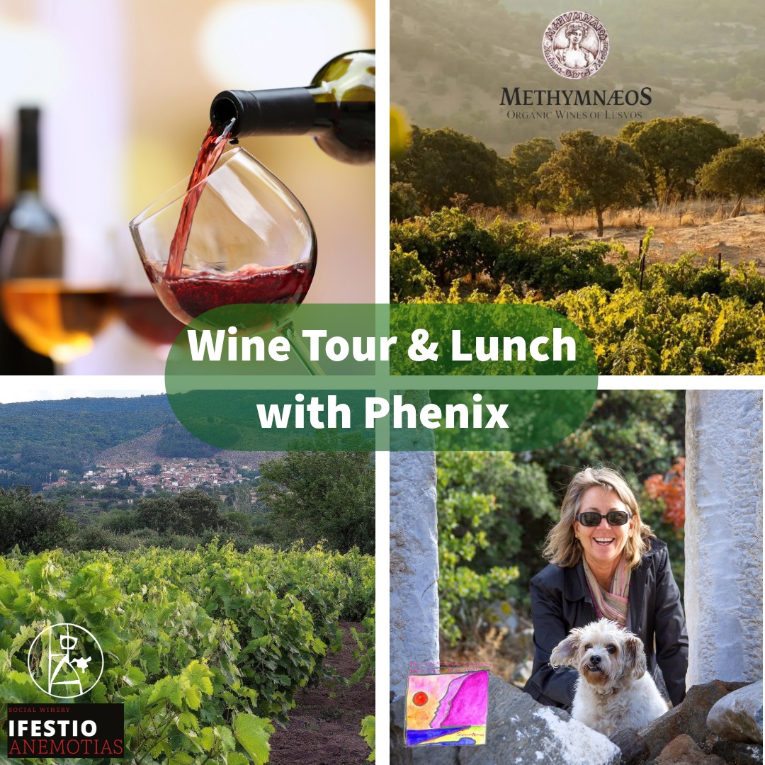 phenix wine tour and lunch