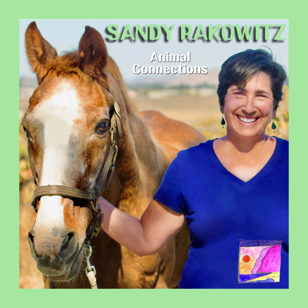 sandy_rakowitz_animal_connections